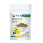 TRIBULUS PRAH ZA PLODNOST I POTENCIJU 100G WE ARE ONE