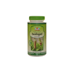 ISABGOL PSYLLIUM 100G