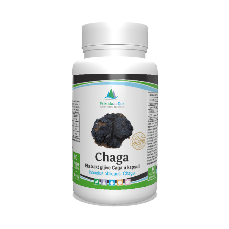 Čaga gljiva (Inonotus obliquus) - lekovita gljiva u kapsulama sa 30% betaglukana 60 x 500 mg - Image 1