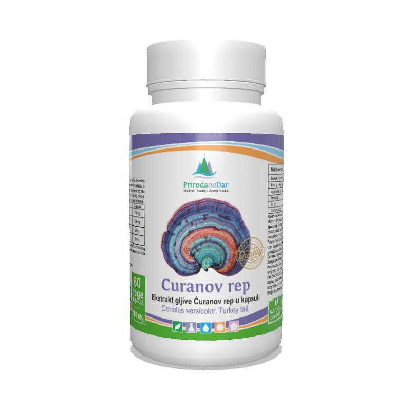 Ćuranov rep gljiva (Coriolus versicolor) – lekovita gljiva u kapsulama sa 30% beta glukana 60 x 500 mg - Image 1